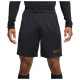 Nike Ανδρικό σορτς Dri-FIT Academy Soccer Shorts